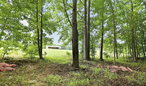 Photo #5 of 618 Bowen, Rougemont, NC 14.9 acres
