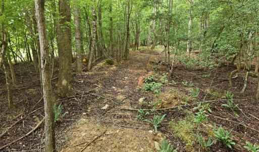 Photo #6 of 618 Bowen, Rougemont, NC 14.9 acres