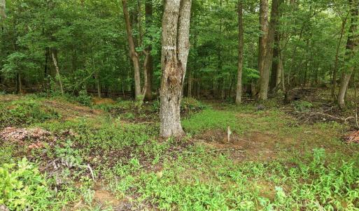 Photo #10 of 618 Bowen, Rougemont, NC 14.9 acres