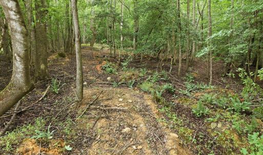 Photo #11 of 618 Bowen, Rougemont, NC 14.9 acres