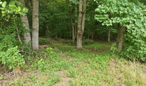 Photo #9 of 618 Bowen, Rougemont, NC 14.9 acres