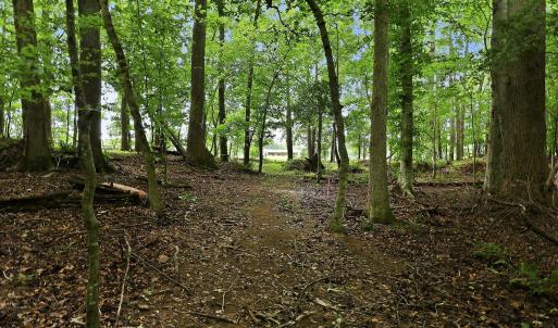 Photo #8 of 618 Bowen, Rougemont, NC 14.9 acres