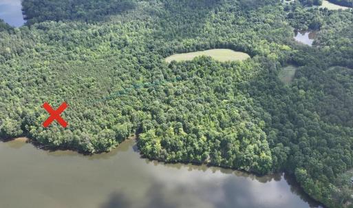 Photo #3 of Tract F Victor Williford Rd., Roxboro, NC 25.8 acres