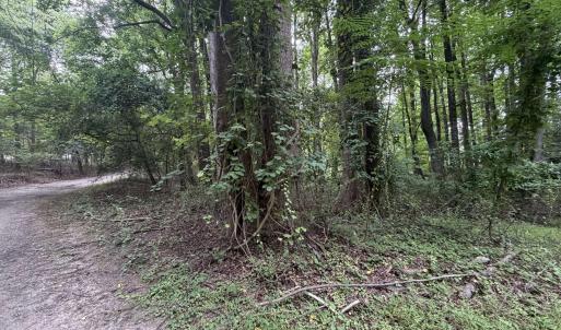Photo #6 of 5140 Commission, Holly Springs, NC 1.2 acres
