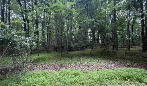Photo #7 of 5140 Commission, Holly Springs, NC 1.2 acres