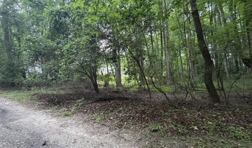 Photo #2 of 5140 Commission, Holly Springs, NC 1.2 acres