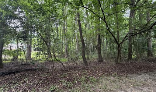 Photo #4 of 5140 Commission, Holly Springs, NC 1.2 acres