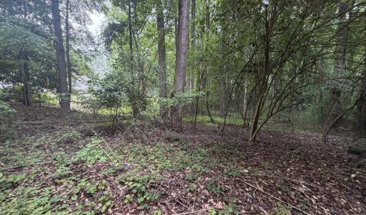 Photo #8 of 5140 Commission, Holly Springs, NC 1.2 acres