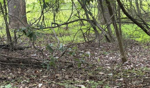 Photo #3 of 5140 Commission, Holly Springs, NC 1.2 acres