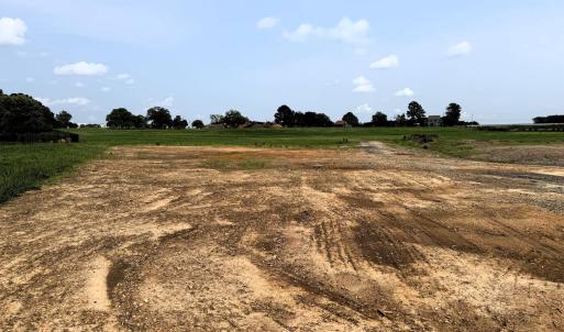 Lower Field Looking Up