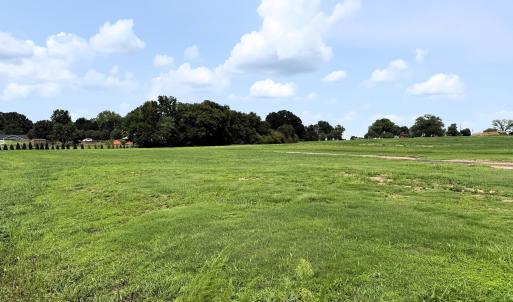 Mid Field Looking Up
