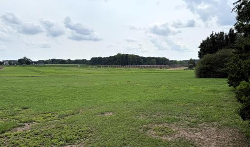 Upper Field Looking Down