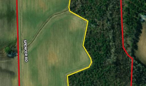 Boundary Pic
