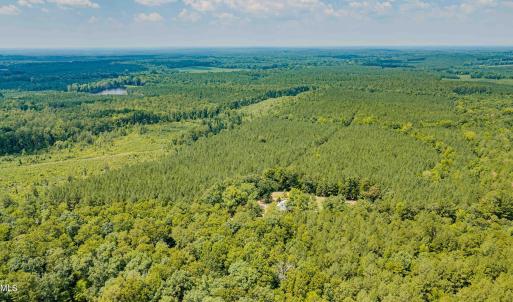 Chatham Lumber 77.2 Drone-3