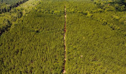 Chatham Lumber 77.2 Drone-4