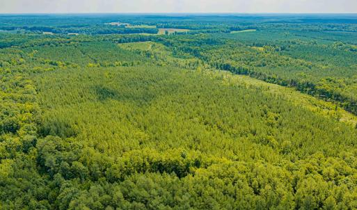 Chatham Lumber 77.2 Drone-5