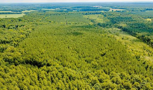 Chatham Lumber 77.2 Drone-6