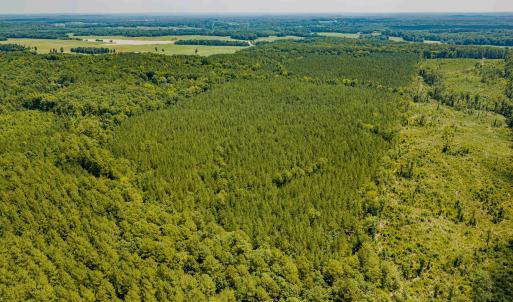 Chatham Lumber 77.2 Drone-7