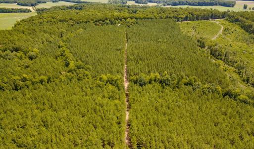 Chatham Lumber 77.2 Drone-8