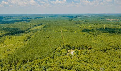 Chatham Lumber 77.2 Drone