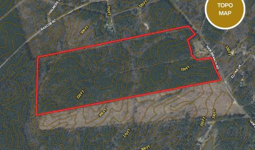Topo Map