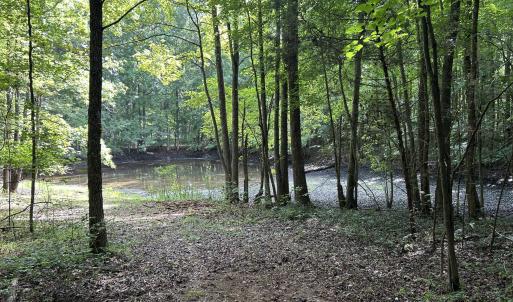 Pondview