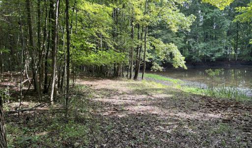 Pondview2