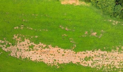 DJI_20260727140559_0206_D