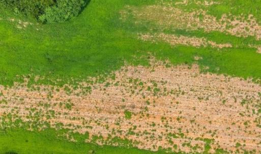 DJI_20260727140547_0201_D