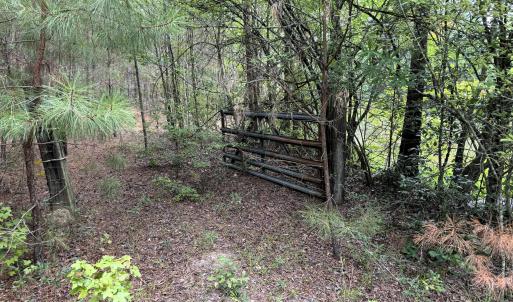 Cattle Gate