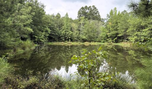 Pond East Side
