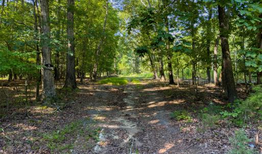 Existing Driveway Towards Property