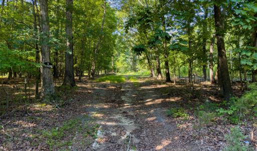 Photo #10 of 117 Nash Baldwin, Pittsboro, NC 1.0 acres