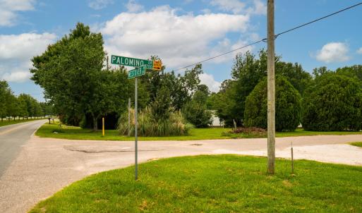 1_0 palomino dr-18