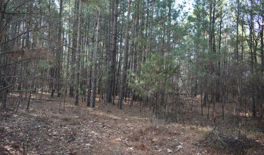 Photo #2 of 806 Carpenter Fletcher, Durham, NC 0.5 acres