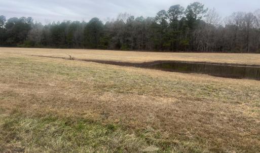 Photo #2 of 474 Indian Camp, Smithfield, NC 3.1 acres