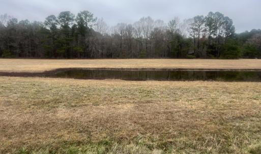 Photo #7 of 474 Indian Camp, Smithfield, NC 3.1 acres