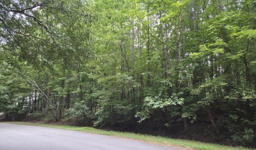 Photo #3 of 5009 Holly Brook, Apex, NC 0.5 acres