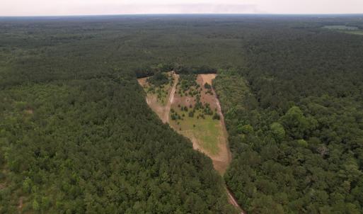 DJI_0979
