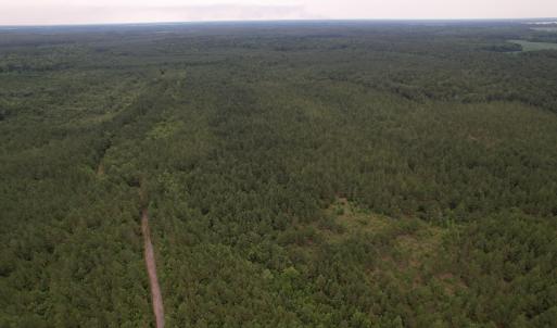 DJI_0981