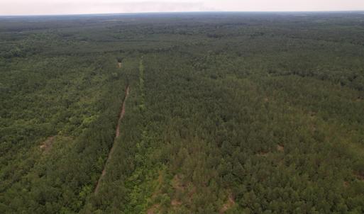 DJI_0982