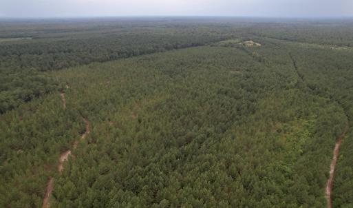DJI_0984