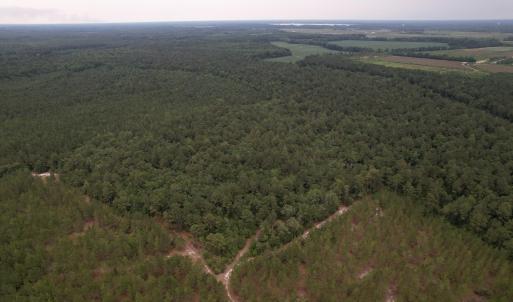 DJI_0986