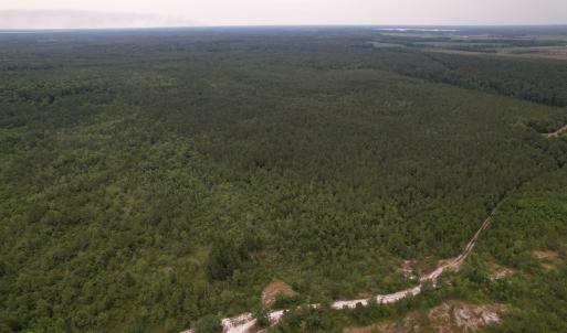 DJI_0991