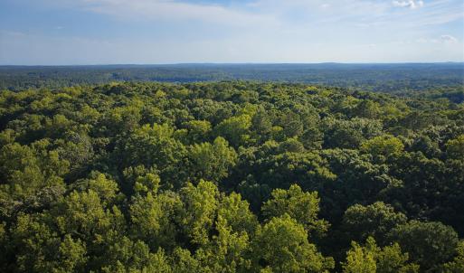 DJI_20260803181115_0026_D