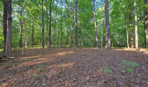 Photo #19 of 100 Sloping Pond, Pittsboro, NC 10.0 acres
