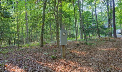 Photo #20 of 100 Sloping Pond, Pittsboro, NC 10.0 acres