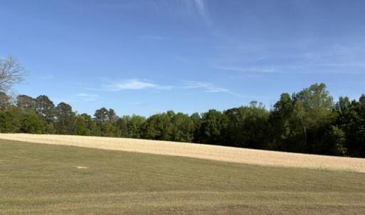 SideField