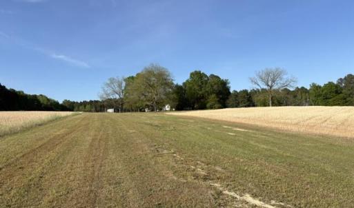 UpperField
