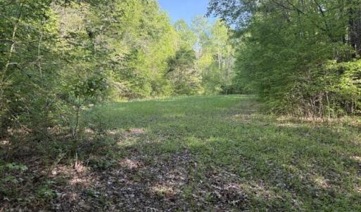 HiddenField